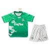 Officiële Voetbalshirt + Korte Broek Palmeiras Special Edition 2024 Groene - Kids